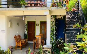 Mellow Homestay